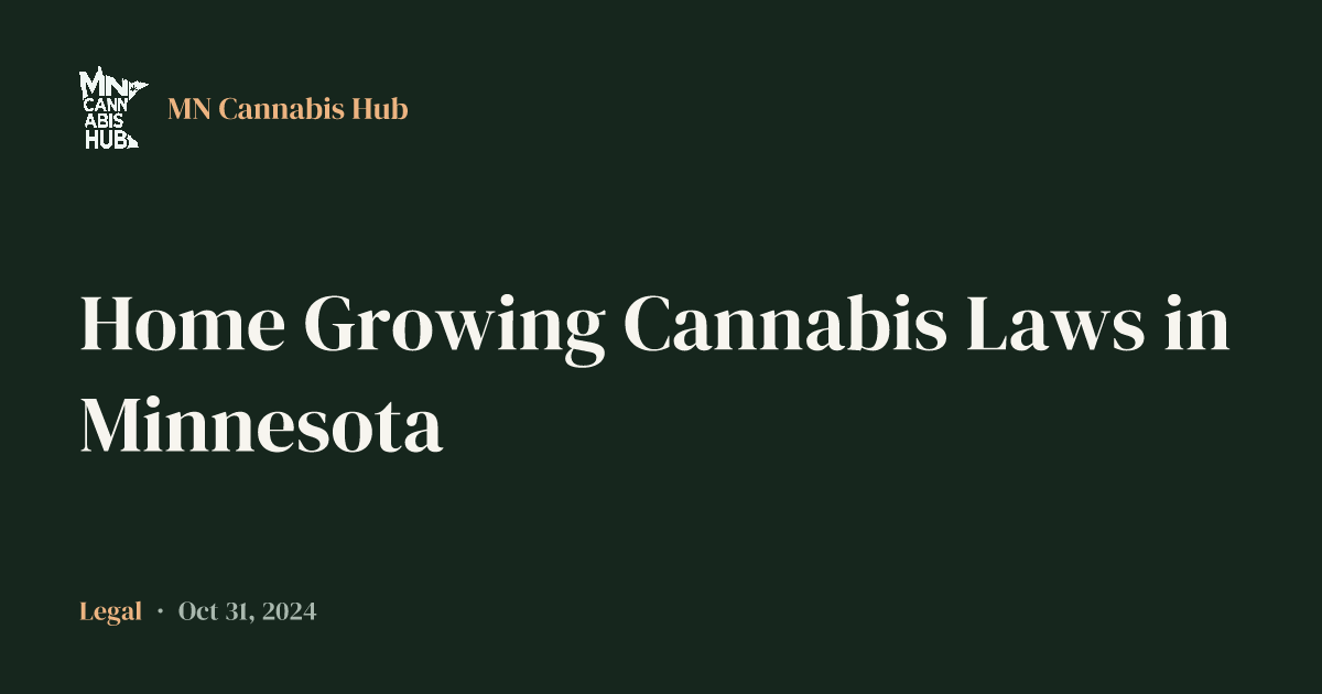 Home Growing Cannabis Laws in Minnesota