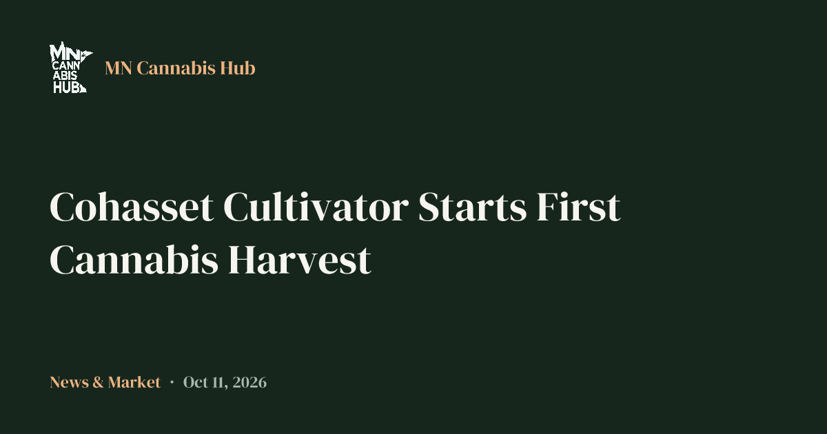 Cohasset Cultivator Starts First Cannabis Harvest
